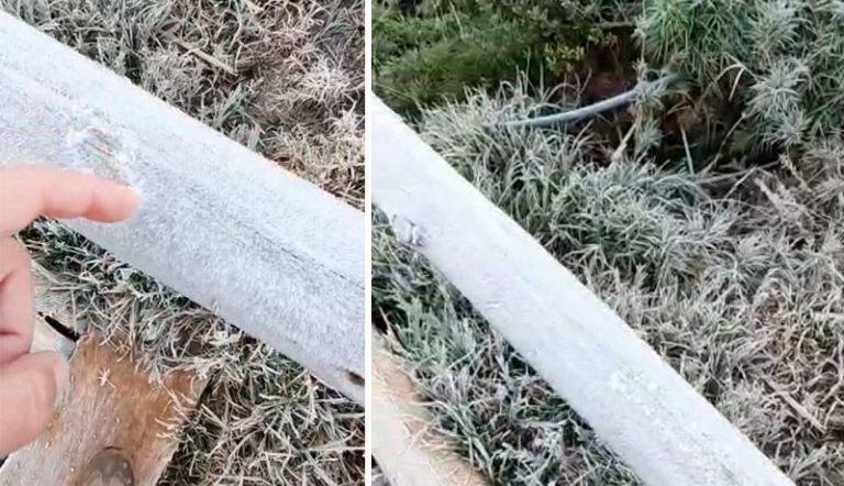 Temperaturas caem e Estado registra até geada na madrugada