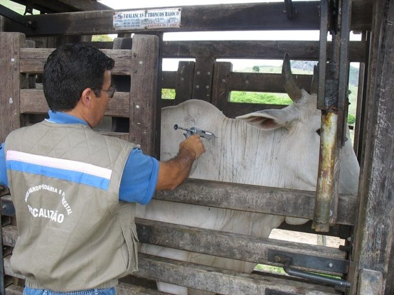 Órgão do Estado vai abrir 15 vagas em concurso com salário de R$ 5.416
