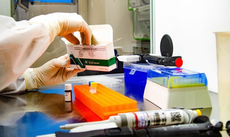 Brasil tem 15,7 mil novos casos e 537 mortes em 24 horas
