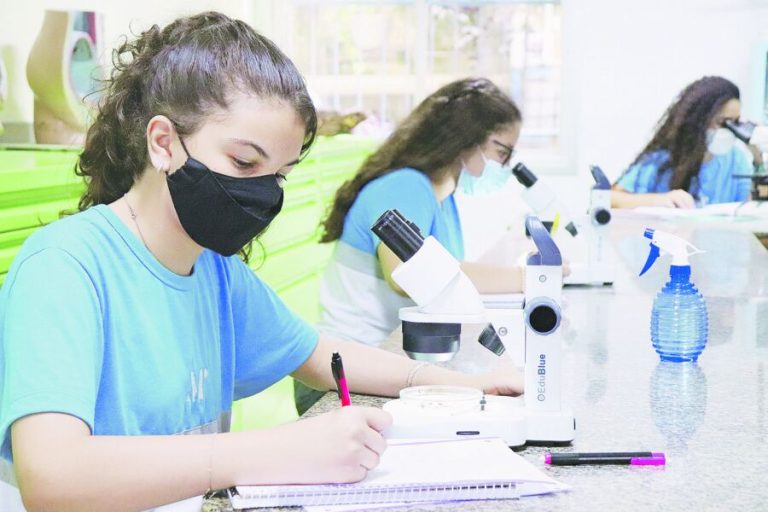 Afeto e criatividade na escola