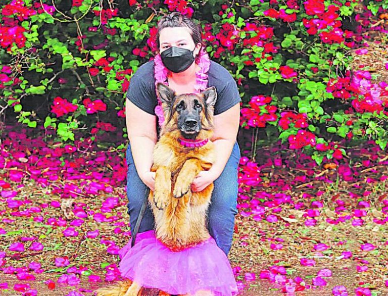 Castração previne 90% dos casos de câncer em cães e gatos