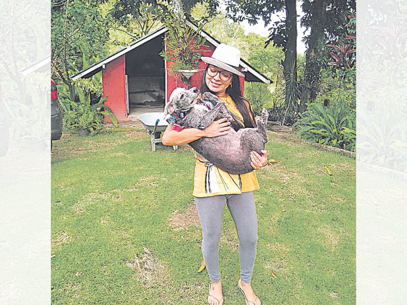 Gasto médio com cães é de R$ 340 por mês