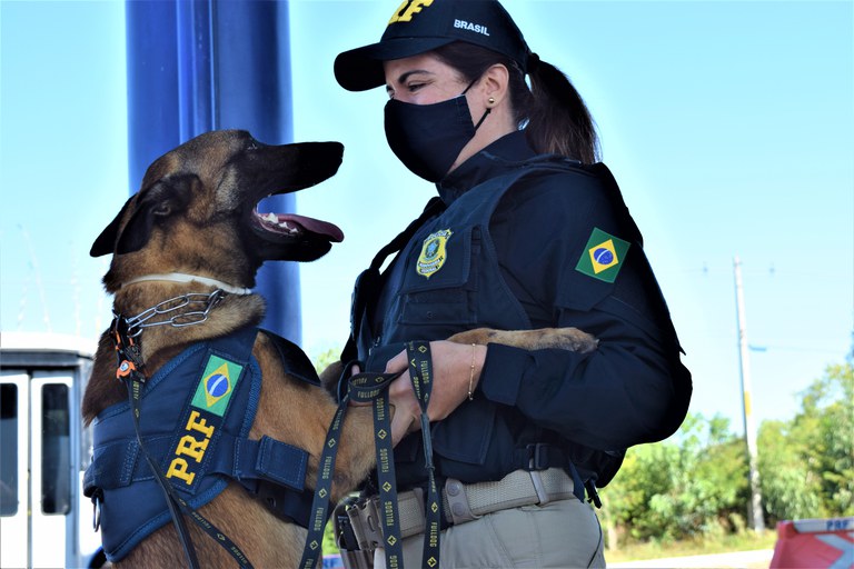 Polícia Federal apreende 5 toneladas de cocaína no porto do Rio