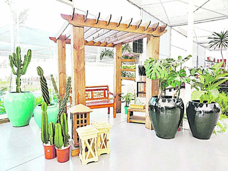 Selva urbana em alta na decoração
