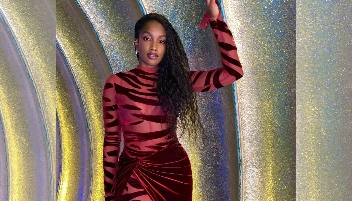 Iza é diagnosticada com covid-19 e cancela agenda de shows
