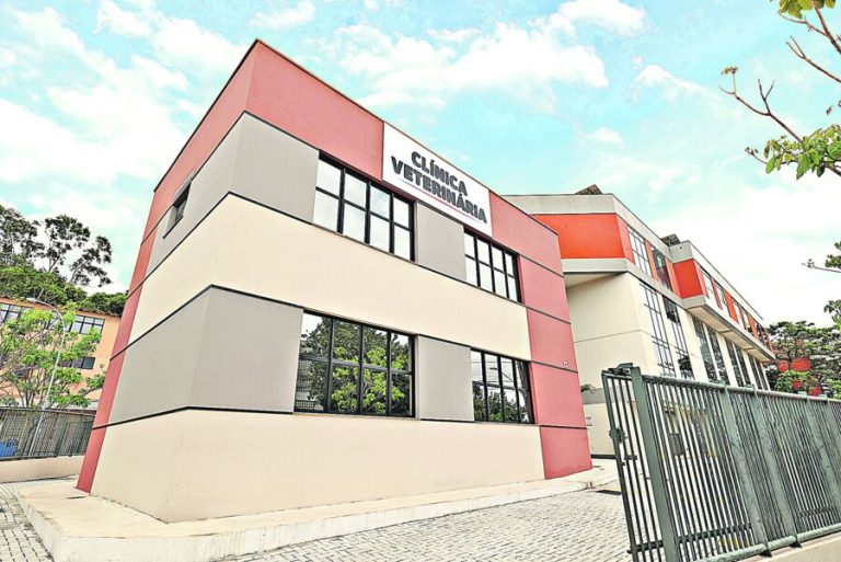 Cursos na área da saúde em alta