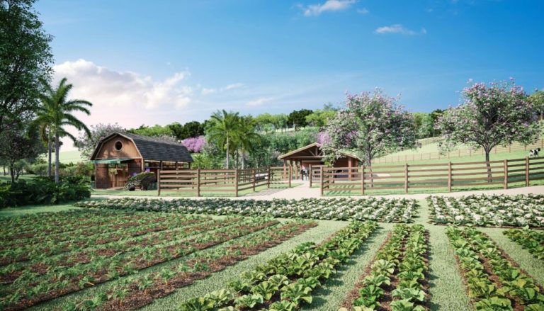 Condomínio Fazenda Barão do Império: Vaz Desenvolvimento comemora 90% de vendas