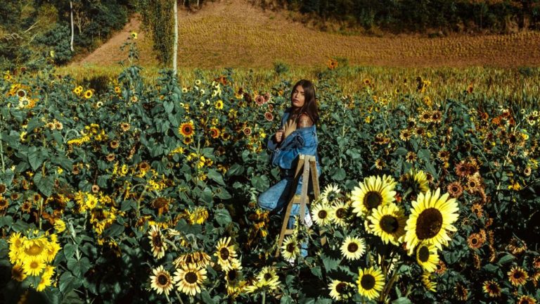 Rota das flores para fazer selfies