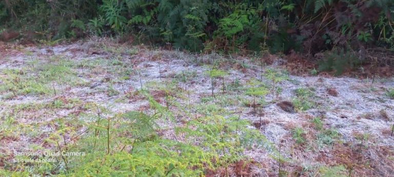 Nove cidades capixabas registram recorde de temperatura mais baixa no mês