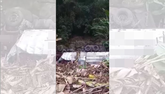 Carreta perde controle e cai de barranco na BR-101