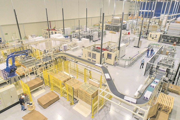 Suzano anuncia fábrica que pode gerar 500 empregos no ES