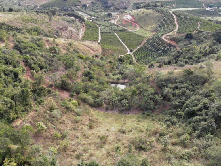 Projeto irá recuperar 5 mil nascentes e 40 mil hectares de florestas