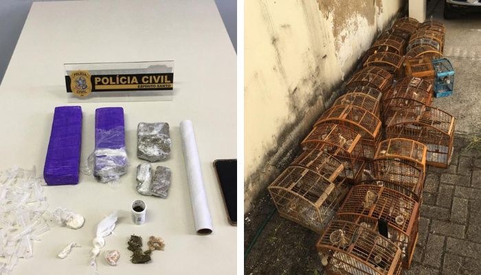 Drogas e 29 animais silvestres são apreendidos durante operação