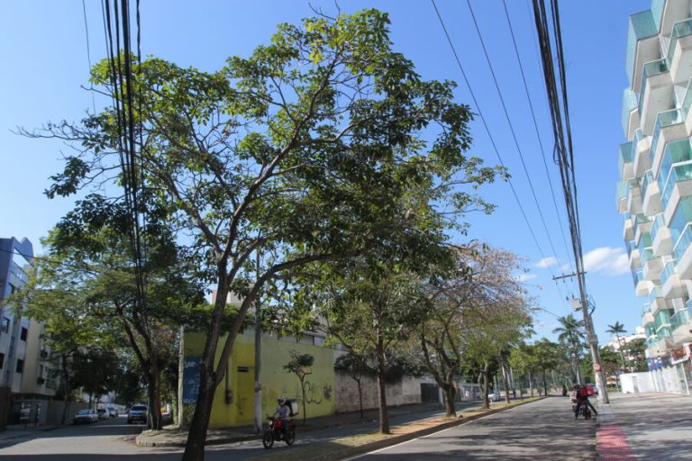 Estudantes são assaltados em ponto de ônibus em Jardim da Penha