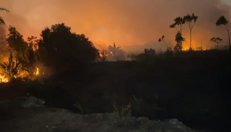 Incêndio atinge vegetação em área rural e espalha nuvem de fumaça em Vila Velha