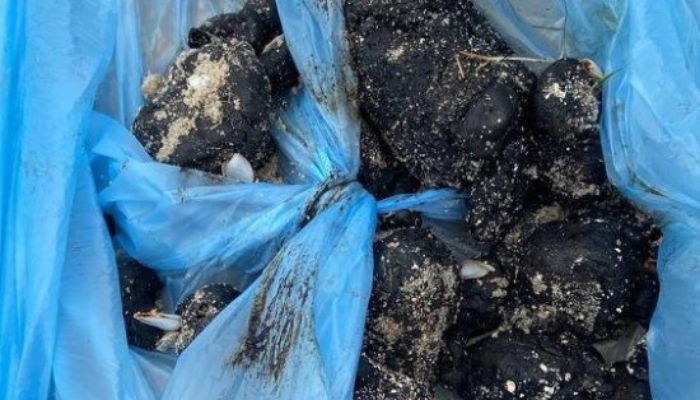 Após atingir Pernambuco, bolotas de óleo chegam a praias da Paraíba