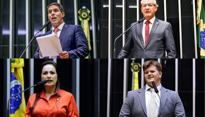 14 dos 30 deputados vão tentar a reeleição em 2022