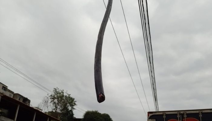 Grupo rouba fios de energia, é perseguido e acaba preso em Cariacica