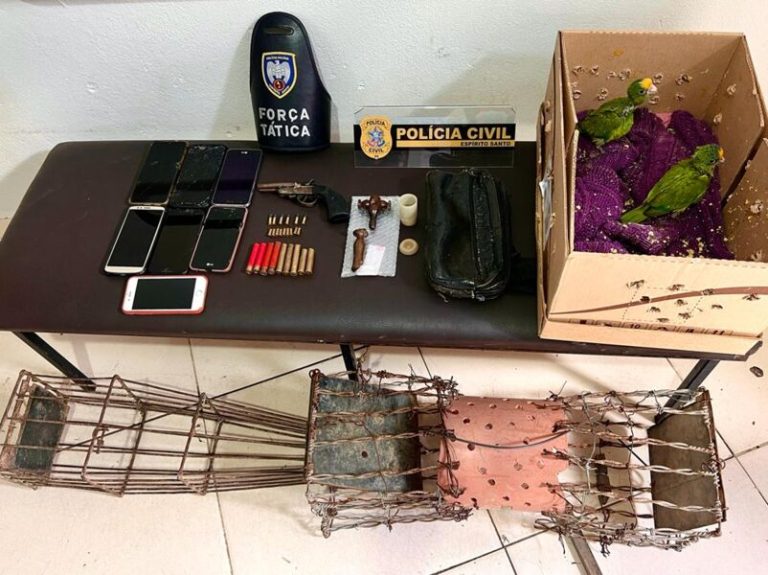 Dois homens são detidos e filhotes de papagaio são encontrados em Boa Esperança