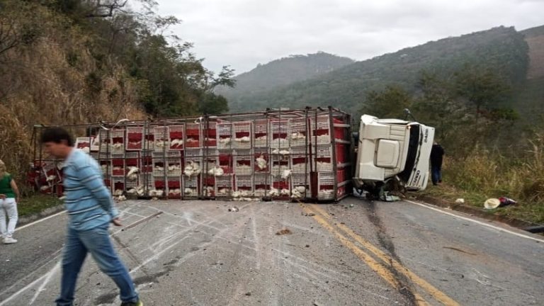 Caminhão com carga de frangos vivos tomba em rodovia no ES