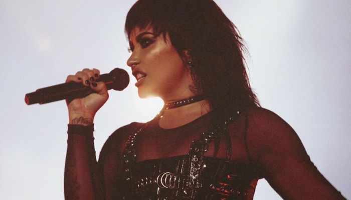 Como Demi Lovato, veja outros famosos que anunciaram aposentadoria neste ano