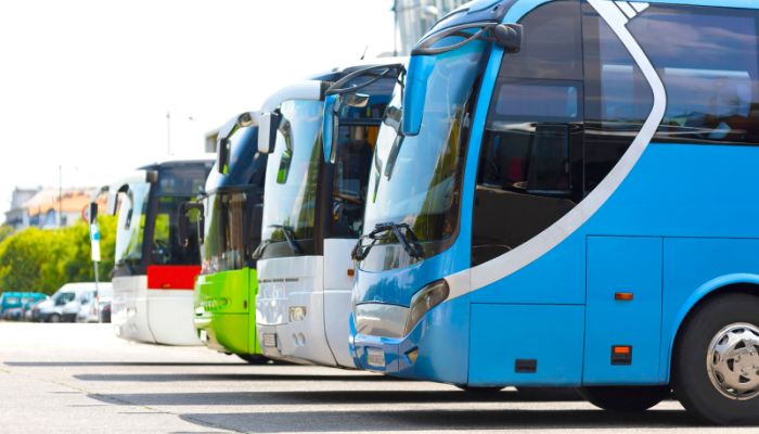 Exame toxicológico constata uso de drogas entre motoristas de ônibus