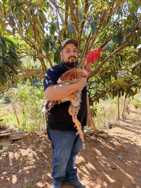 Espírito Santo tem os maiores galos do Brasil