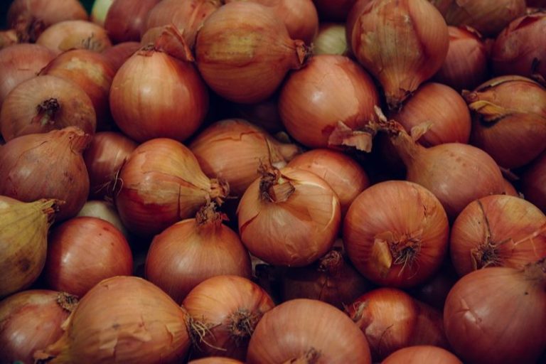 Preço da cebola dispara e sobe até 150% nas capitais