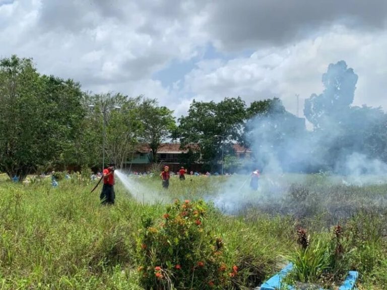 Família solta fogos de artifício em enterro e gera incêndio em cemitério
