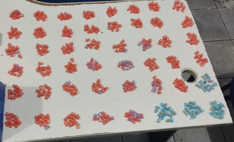 Mais de 450 pedras de crack são apreendidas pela polícia na Serra