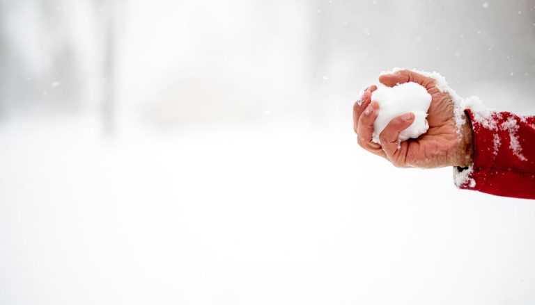 Frente fria intensa pode trazer neve para o Brasil em novembro
