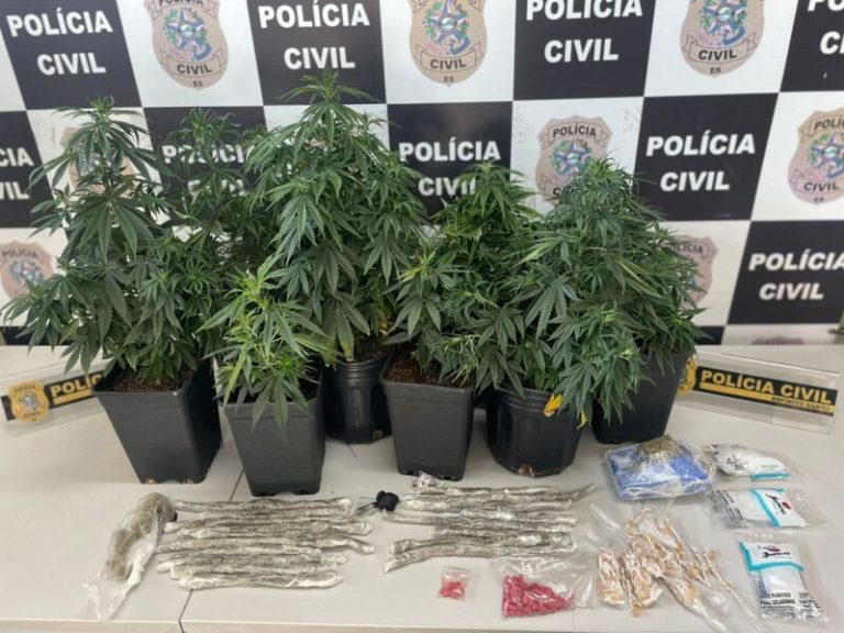 Polícia encontra plantação de maconha e prende suspeito de tráfico no ES