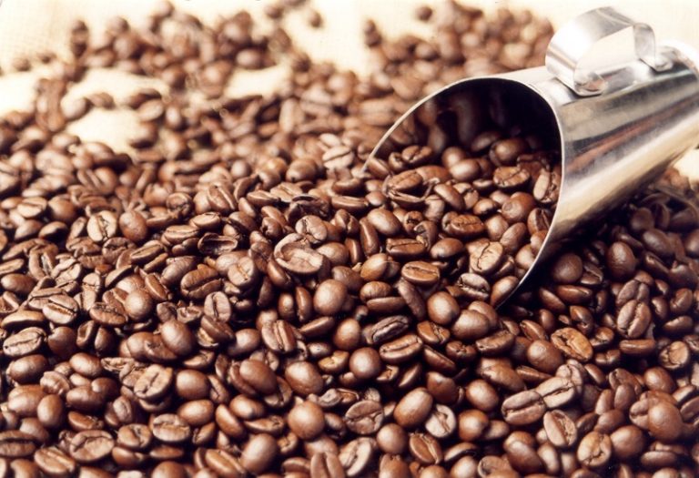Premiação internacional elege os melhores cafés do Brasil