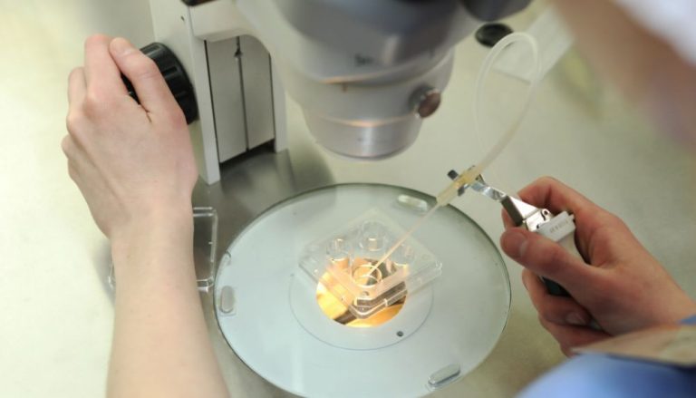 Bebês nascem de embriões congelados há 30 anos