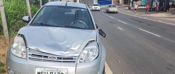 Cavalo é atropelado após invadir pista em cidade do ES