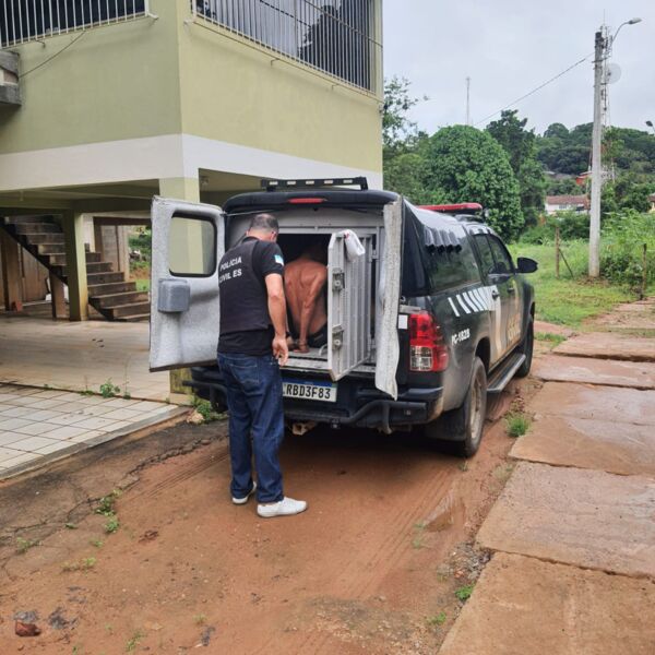 Polícia prende suspeito de matar homem com canivete no ES