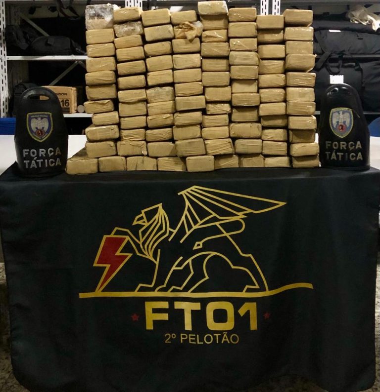 Polícia apreende 90 tabletes de maconha em tambores enterrados no ES