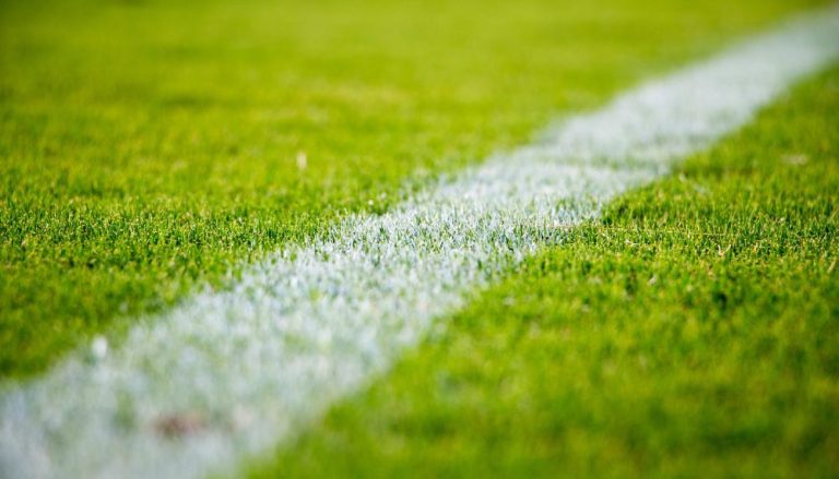Alvo de críticas, gramados do Catar têm carga de jogos inédita em Copas