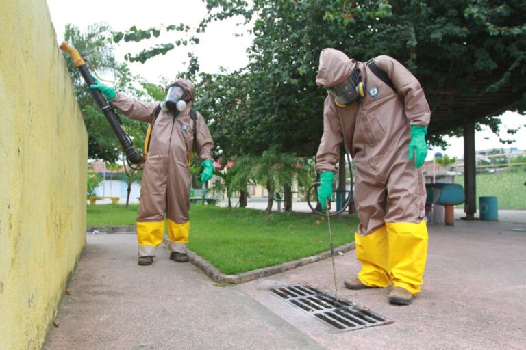 Brasil se aproxima de bater recorde anual de mortes por dengue