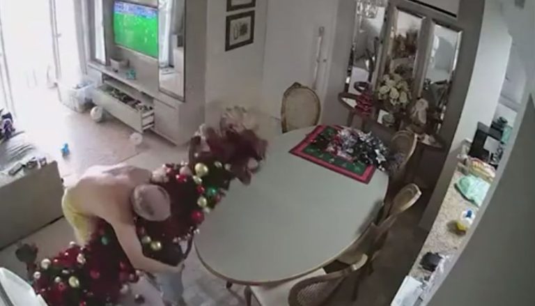 VÍDEO | Avô se joga em cima de árvore para salvar neto e cai junto