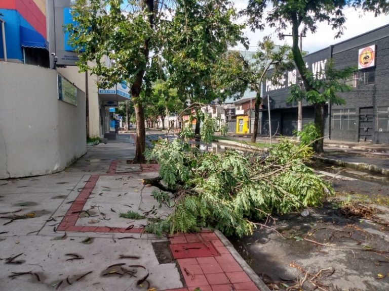 Temporal e ventania provocam estragos na Grande Vitória