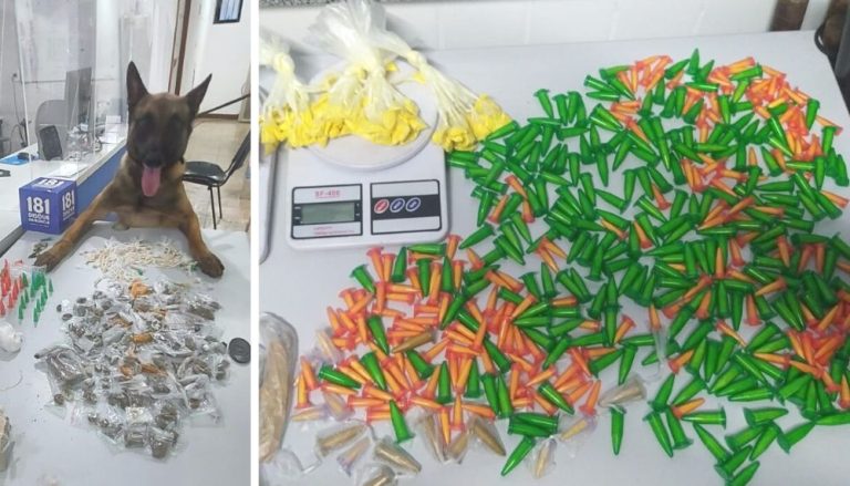 Cães farejadores ajudam em buscas e polícia apreende crack e cocaína em Vitória