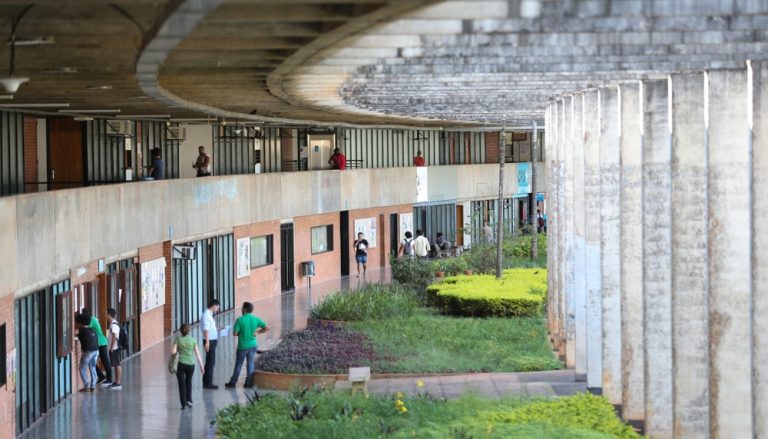 Inteligência artificial ajuda a identificar povos indígenas desconhecidos