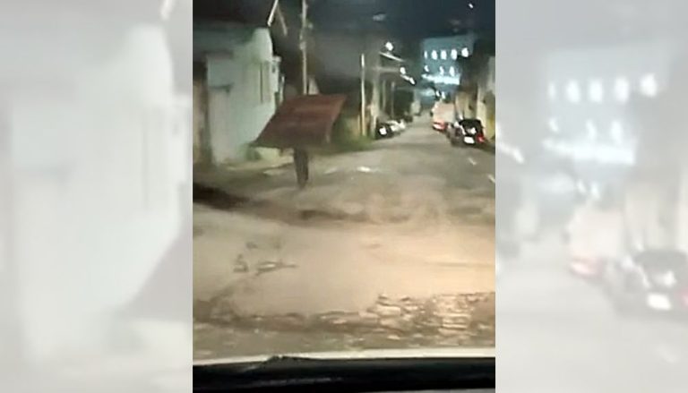 Moradora faz homem a devolver portão furtado em MG