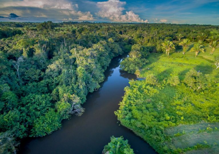 Amazônia tem queda no desmatamento em janeiro, segundo dados parciais do Inpe