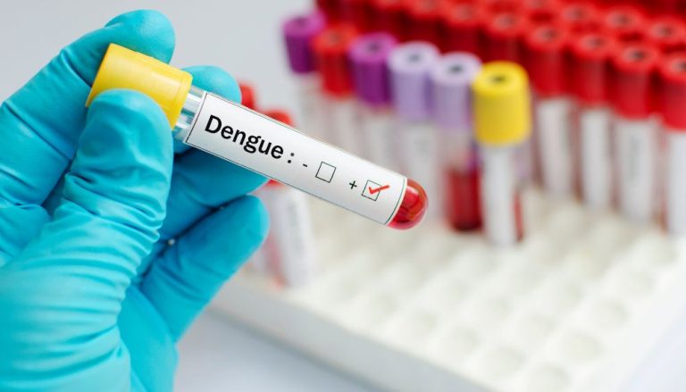 Brasil tem 218 cidades com alto risco de infestação do mosquito da dengue