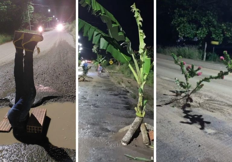 Manequim e plantas para protestar contra buracos em rodovia do ES