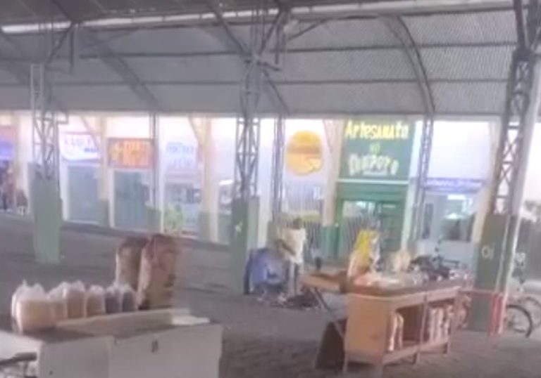 Por vingança, homem mata cachorro a pauladas e é preso no ES