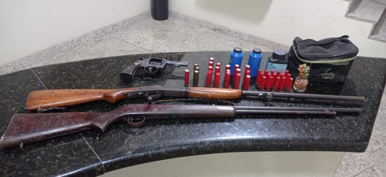Polícia encontra armas furtadas e prende suspeito em cidade do ES