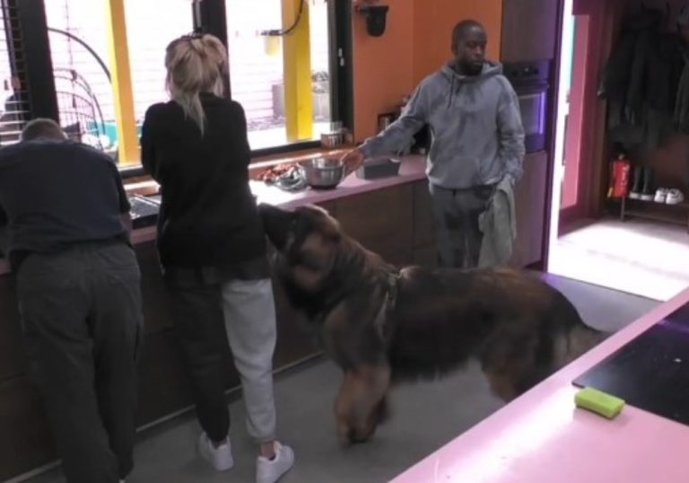 Mulher chora por não poder interagir com seu cão no Big Brother Holanda